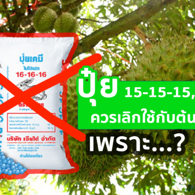 ชาวสวนส่วนใหญ่ไม่รู้สิ่งนี้เมื่อฝนตก