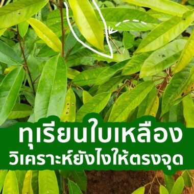 ชาวสวนส่วนใหญ่ไม่รู้สิ่งนี้เมื่อฝนตก